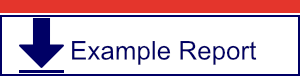 ExampleReport